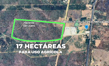 Terreno agricola en alquiler en Via a la Costa Km41