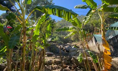 Terreno en Venta en Boca de Tomatlán, Ubicación Privilegiada Cerca del Río