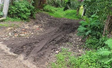 FINCA CON 3 CASAS EN MUN.SAN ANTONIO DEL TEQUENDAMA, VEREDA CUBSIO, CUNDINAMARCA