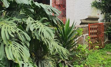 FINCA CON 3 CASAS EN MUN.SAN ANTONIO DEL TEQUENDAMA, VEREDA CUBSIO, CUNDINAMARCA