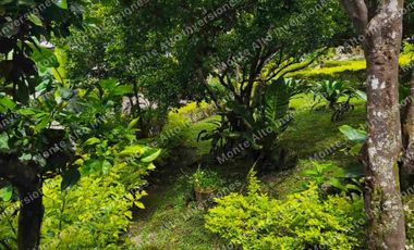 VENTA DE CASA CAMPESTRE TURISTICA CON RENTABILIDAD