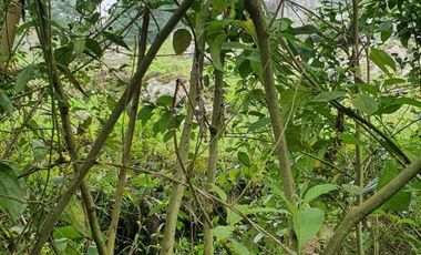 FINCA EN MUNICIPIO DE SAN ANTONIO, VEREDA CUBSIO, CUNDINAMARCA.