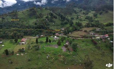 FINCA EN MUNICIPIO DE SAN ANTONIO, VEREDA CUBSIO, CUNDINAMARCA.