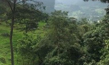 FINCA EN MUNICIPIO DE SAN ANTONIO, VEREDA CUBSIO, CUNDINAMARCA.