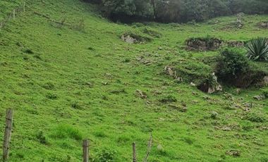 FINCA EN MUNICIPIO DE SAN ANTONIO, VEREDA CUBSIO, CUNDINAMARCA.