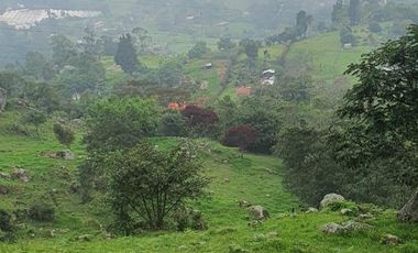 FINCA EN MUNICIPIO DE SAN ANTONIO, VEREDA CUBSIO, CUNDINAMARCA.