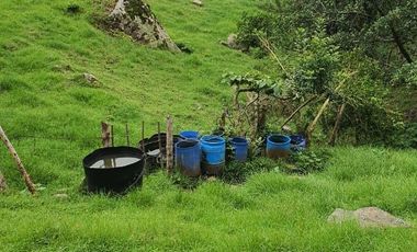 FINCA EN MUNICIPIO DE SAN ANTONIO, VEREDA CUBSIO, CUNDINAMARCA.