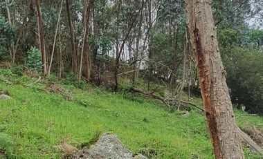 FINCA EN MUNICIPIO DE SAN ANTONIO, VEREDA CUBSIO, CUNDINAMARCA.