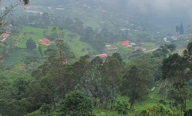 FINCA EN MUNICIPIO DE SAN ANTONIO, VEREDA CUBSIO, CUNDINAMARCA.