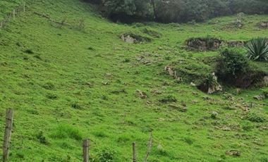 FINCA EN MUNICIPIO DE SAN ANTONIO, VEREDA CUBSIO, CUNDINAMARCA.