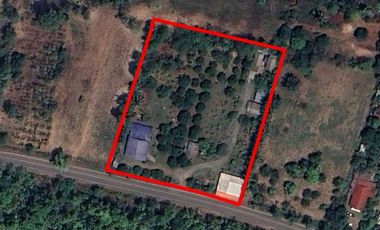Multi-Use Property for Sale in Pai