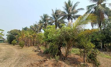 Multi-Use Property for Sale in Pai