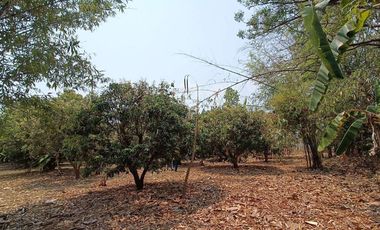 Multi-Use Property for Sale in Pai