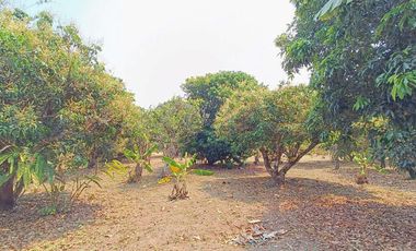 Multi-Use Property for Sale in Pai