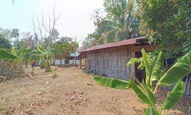 Multi-Use Property for Sale in Pai