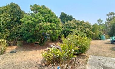 Multi-Use Property for Sale in Pai