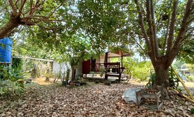 Multi-Use Property for Sale in Pai