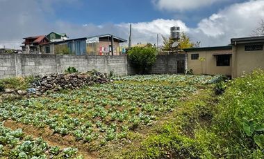 2 OLD HOUSE WITH HUGE GARDEN