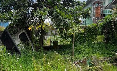 2 OLD HOUSE WITH HUGE GARDEN