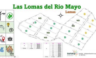LOTES DE CASI MEDIA HECTAREA EN LAMAS