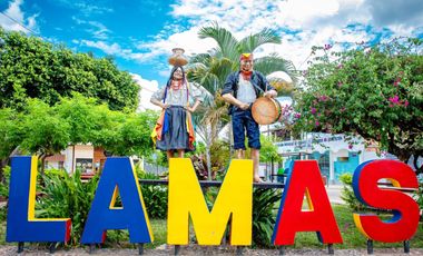 LOTES DE CASI MEDIA HECTAREA EN LAMAS
