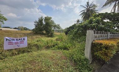 Almost one hectare lot for your warehouse or business