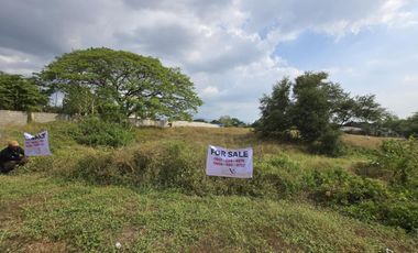 Almost one hectare lot for your warehouse or business