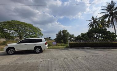 Almost one hectare lot for your warehouse or business