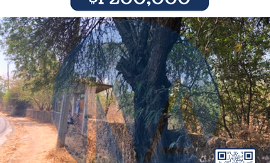 Terreno en venta en Amador Salazar, Tlaltizapán de Zapata, Morelos