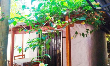 Negocio en Venta. Cabañas en Paihuano, patente comercial