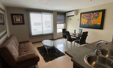 Suite Amoblada en Alquiler en la Urbanización Santa Cecilia en los Ceibos, 1 Habitación, 1 Baño, Parqueo, Seguridad, Norte de Guayaquil