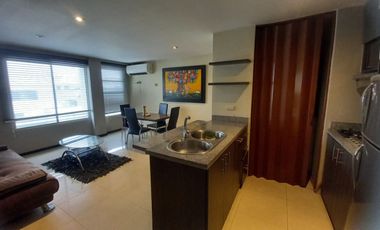 Suite Amoblada en Alquiler en la Urbanización Santa Cecilia en los Ceibos, 1 Habitación, 1 Baño, Parqueo, Seguridad, Norte de Guayaquil