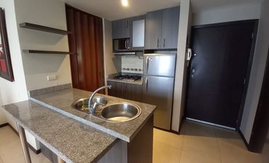 Suite Amoblada en Alquiler en la Urbanización Santa Cecilia en los Ceibos, 1 Habitación, 1 Baño, Parqueo, Seguridad, Norte de Guayaquil