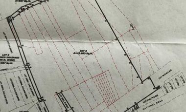COMMERCIAL LOT FOR SALE IN CONSOLACION CEBU ALONG MAIN HIGHWAY