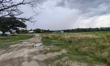 COMMERCIAL LOT FOR SALE IN CONSOLACION CEBU ALONG MAIN HIGHWAY