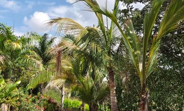 VENTA DE PARCELA EN SAN GIL SANTANDER VEREDA MONTECITOS