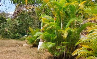 VENTA DE PARCELA EN SAN GIL SANTANDER VEREDA MONTECITOS