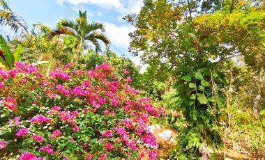 VENTA DE PARCELA EN SAN GIL SANTANDER VEREDA MONTECITOS