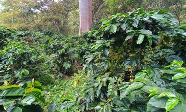 VENTA DE PARCELA EN SAN GIL SANTANDER VEREDA LOS POZOS