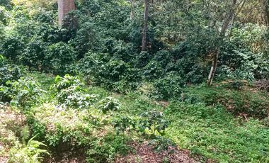 VENTA DE PARCELA EN SAN GIL SANTANDER VEREDA LOS POZOS