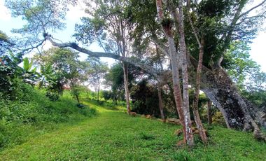 VENTA DE PARCELA EN SAN GIL SANTANDER VEREDA LOS POZOS