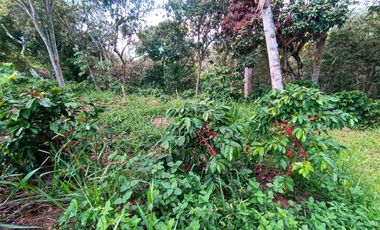 VENTA DE PARCELA EN SAN GIL SANTANDER VEREDA LOS POZOS