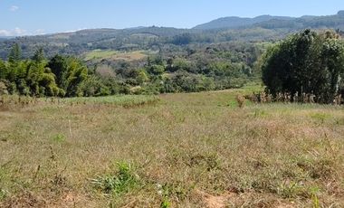 VENTA DE FINCA EN SAN GIL SANTANDER  KILOMETRO 5 VIA A MOGOTES
