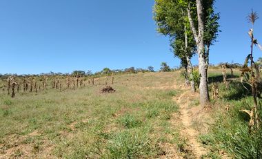 VENTA DE FINCA EN SAN GIL SANTANDER  KILOMETRO 5 VIA A MOGOTES