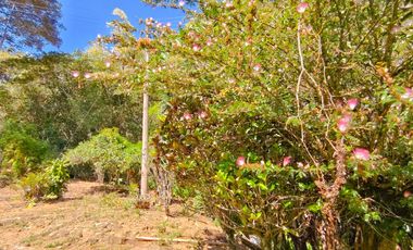 VENTA DE FINCA EN SAN GIL SANTANDER  KILOMETRO 5 VIA A MOGOTES