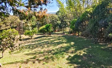 VENTA DE FINCA EN SAN GIL SANTANDER  KILOMETRO 5 VIA A MOGOTES