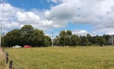 Hermosa Parcela Cercana a Villarrica acepta Credito Hipotecario