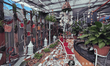 Rare Pre American Colonial Estate in Baguio – A Dream Home or High-Yield Investment