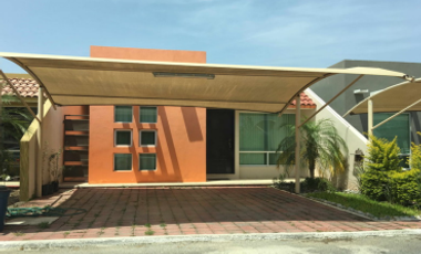 Paquete de Inmuebles en Cd Victoria – Derechos Adj.