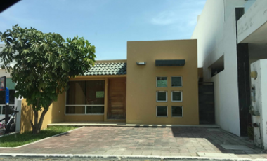 Paquete de Inmuebles en Cd Victoria – Derechos Adj.